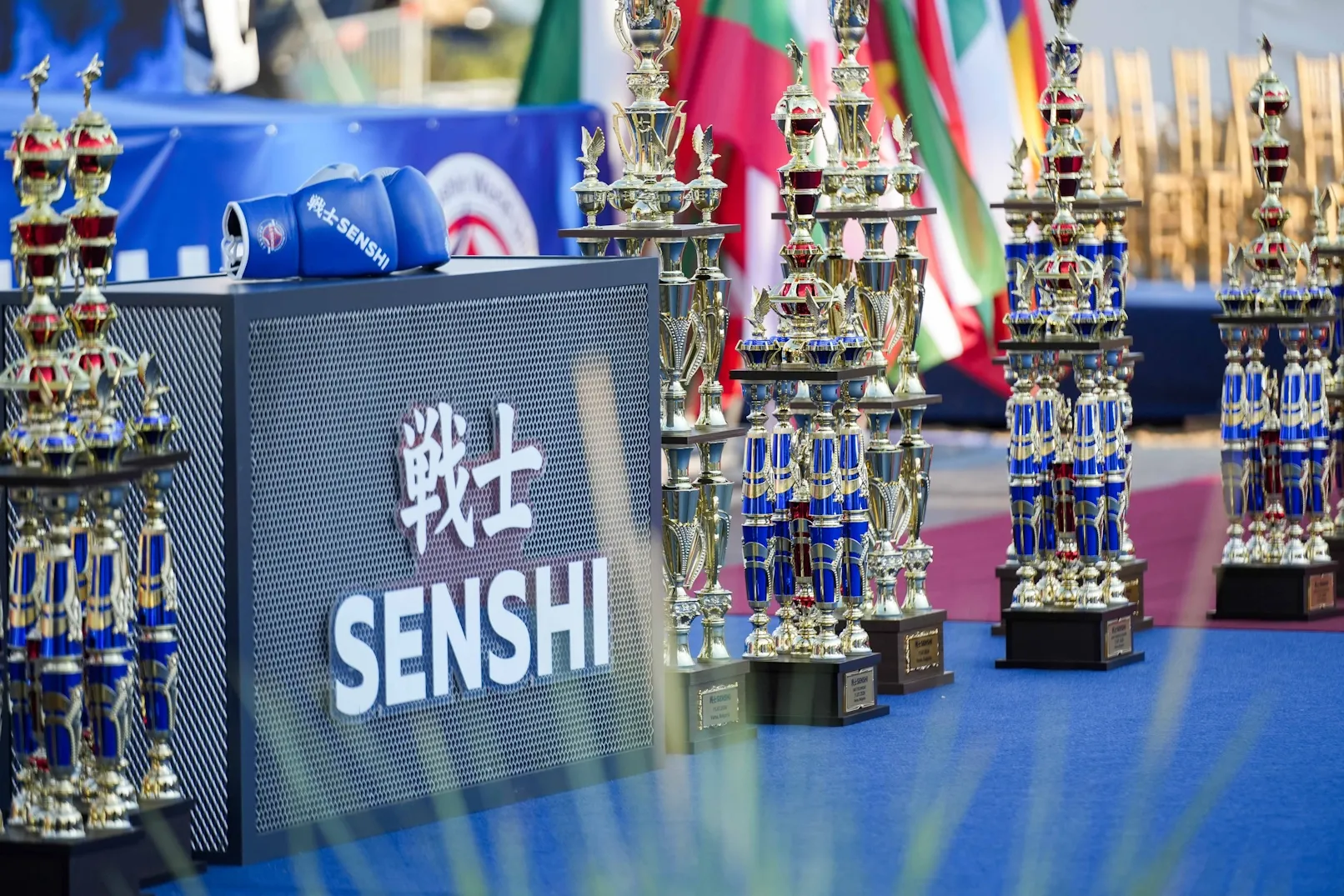 SENSHI_33_Trophy.webp