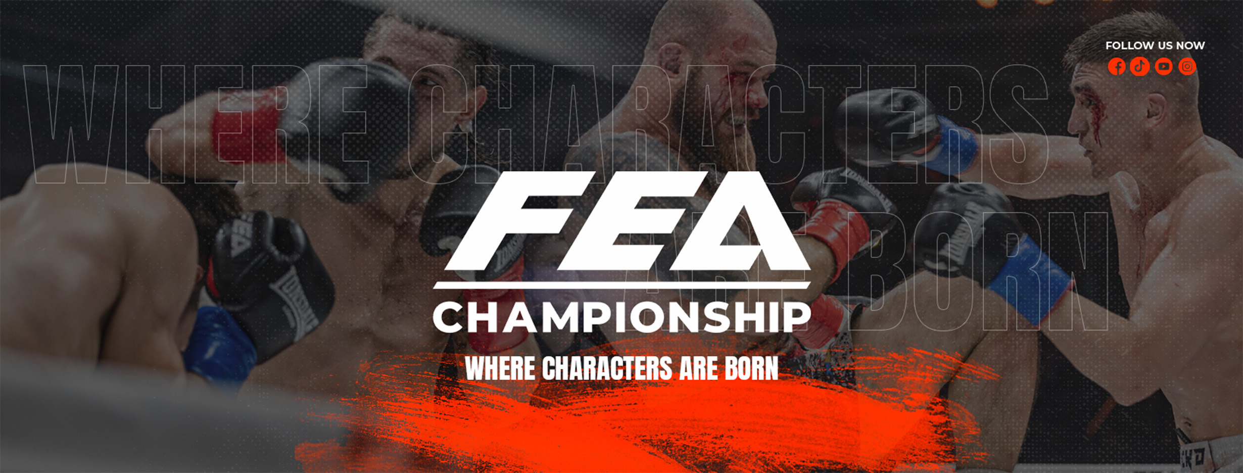 Fighting Entertainment Association (FEA)