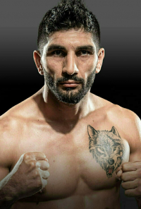 Bahram Rajabzadeh [The Golden Wolf] photo