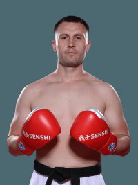Ion Brițchi photo