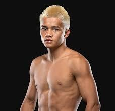 Zhang Peimian [Fighting Rooster] photo