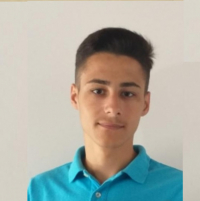 Robert Guraliuc photo